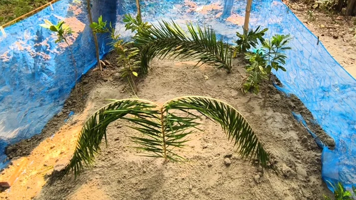 ছাত্রলীগ নেতার স্ত্রী ও সন্তানের দাফন সম্পন্ন